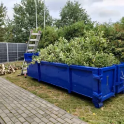 Niebieski kontener wypełniony obciętymi gałęziami i liśćmi stoi na trawniku obok ścieżki z kostki brukowej, w tle metalowe ogrodzenie i drabina oparta o drzewo.