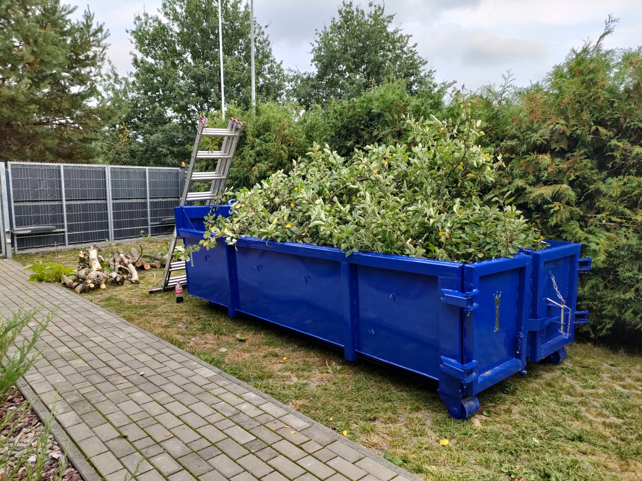 Niebieski kontener wypełniony obciętymi gałęziami i liśćmi stoi na trawniku obok ścieżki z kostki brukowej, w tle metalowe ogrodzenie i drabina oparta o drzewo.