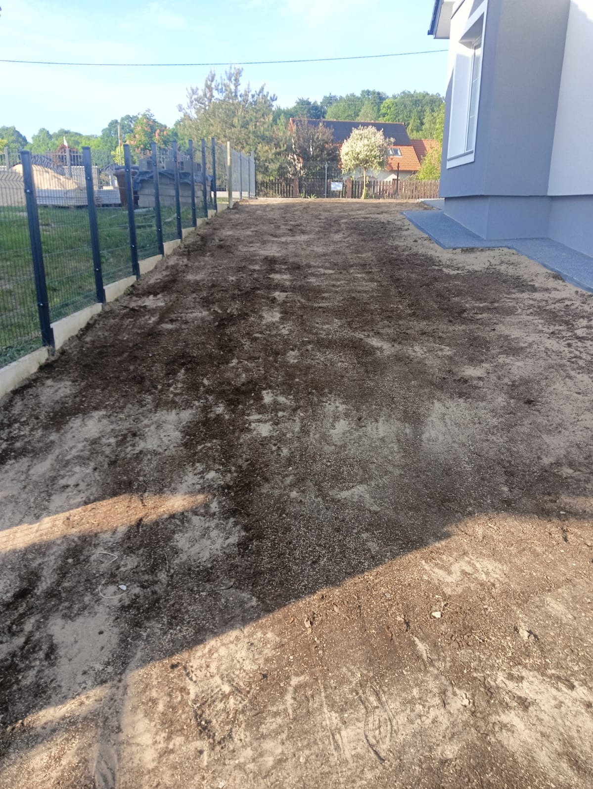 Przygotowany teren pod trawnik w Miłoradzicach, widok z poziomu gruntu na wyrównaną ziemię, ogrodzenie panelowe i fragment domu w tle.