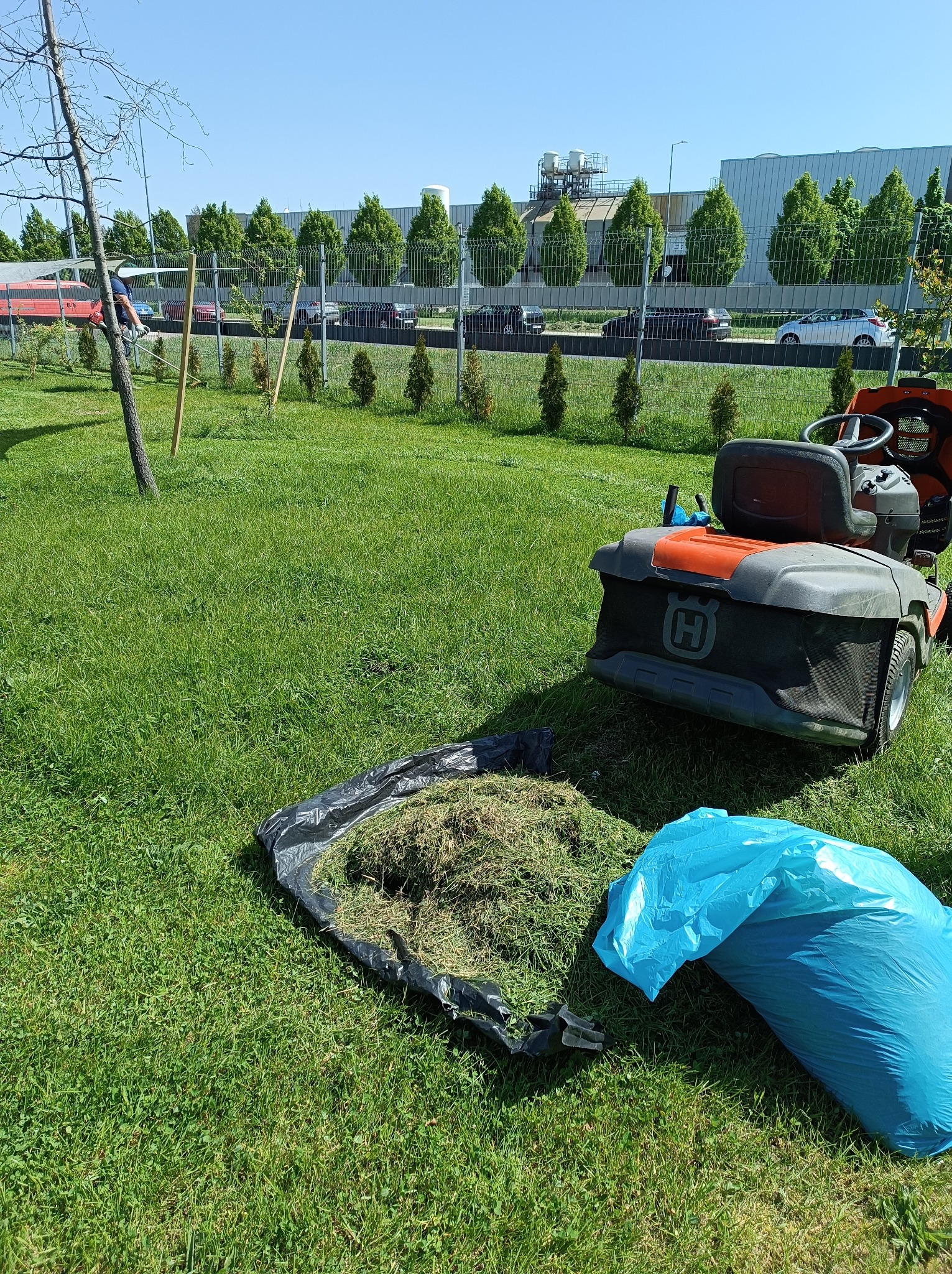 Pomarańczowo-szary traktor ogrodowy Husqvarna na trawniku, obok czarna plandeka z pokosem i niebieski worek na śmieci, w tle rząd strzyżonych drzew i budynek przemysłowy.