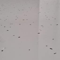 Posadzki żywiczne Żołynia 1