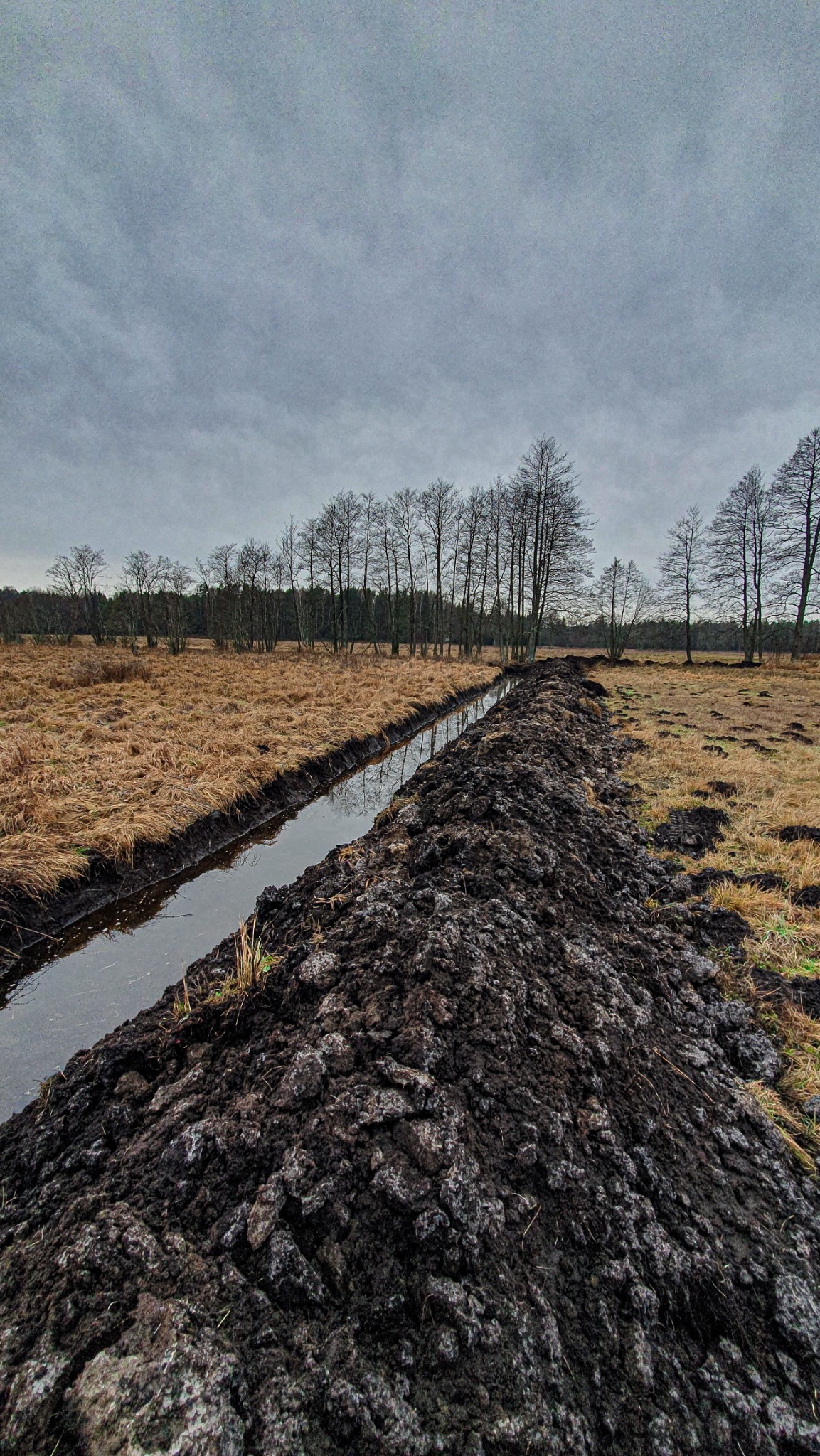 Wykopany rów melioracyjny na podmokłej łące, widoczne świeżo wykopane błoto po jednej stronie rowu, odbicie drzew w wodzie, pochmurne niebo.