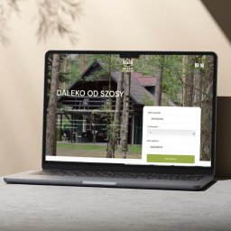 Projektowanie stron internetowych Ciechanów 3