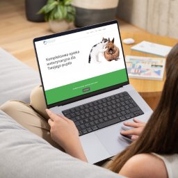 Projektowanie stron internetowych Ciechanów 4