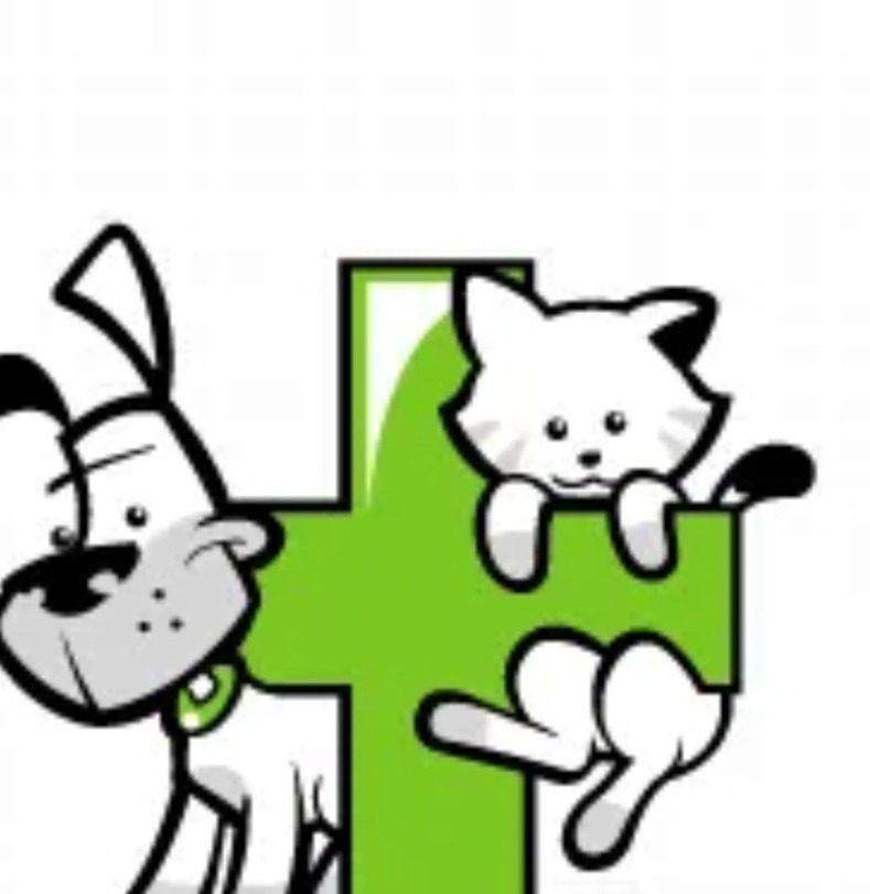 Kreskówkowy pies z obrożą i biały kot trzymający się zielonego krzyża, symbolizującego pomoc zwierzętom.