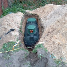 Wycinka drzew Aleksandrów Łódzki 1