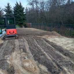 Wycinka drzew Aleksandrów Łódzki 3