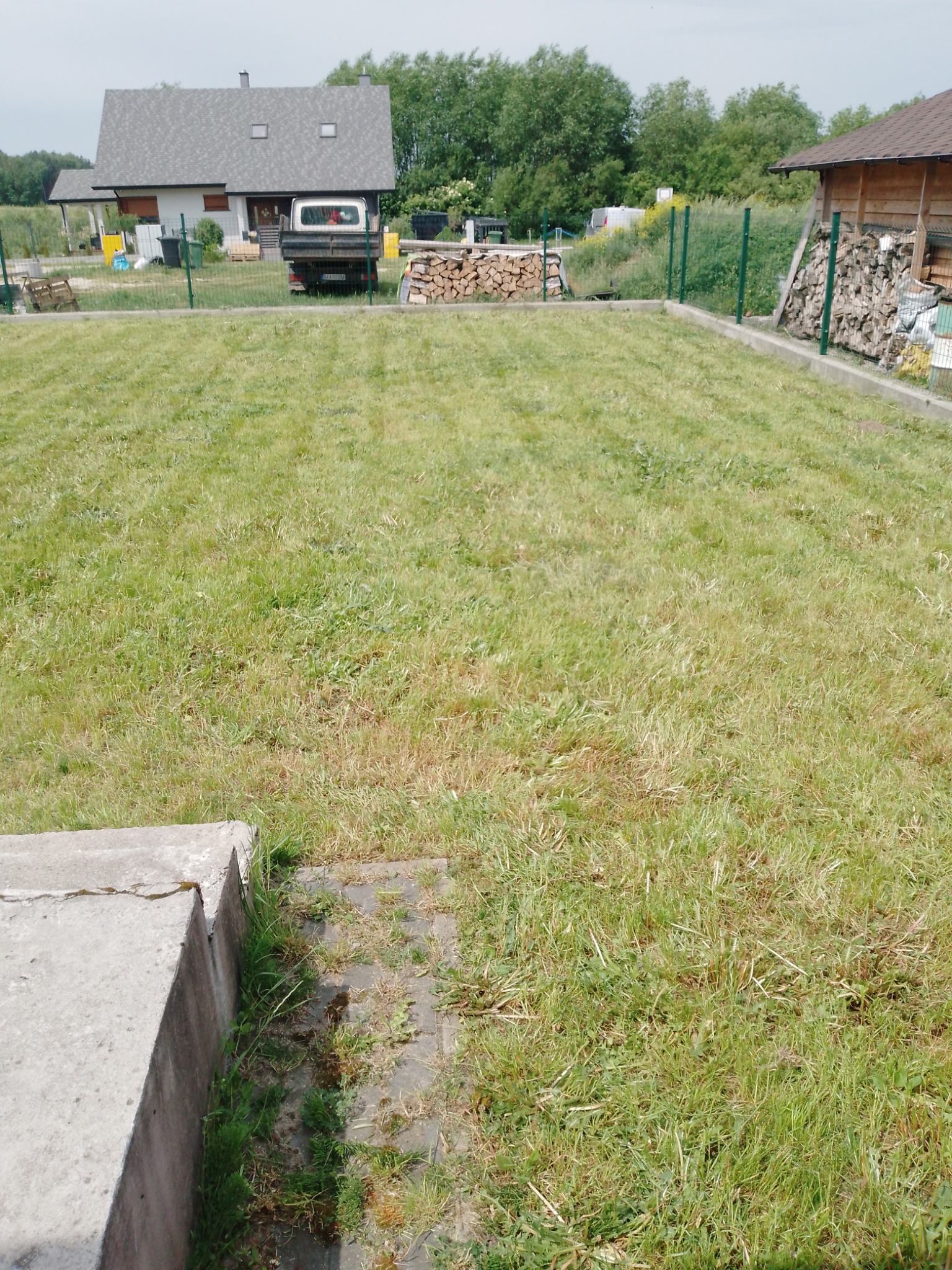 Obszerny trawnik przed domem z widocznymi śladami niedawnego koszenia, z drewnem kominkowym składowanym w tle i zielonym ogrodzeniem siatkowym.