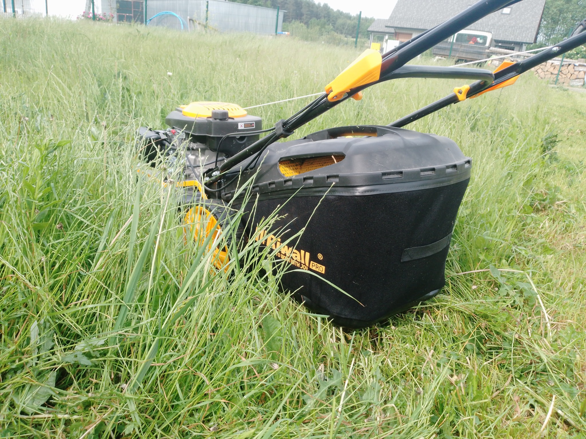 Żółto-czarna kosiarka spalinowa z pełnym koszem na trawę stoi w wysokiej, zaniedbanej trawie na działce.
