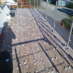 Glazurnik Siewierz 1