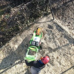 Wycinka drzew Kraków 4