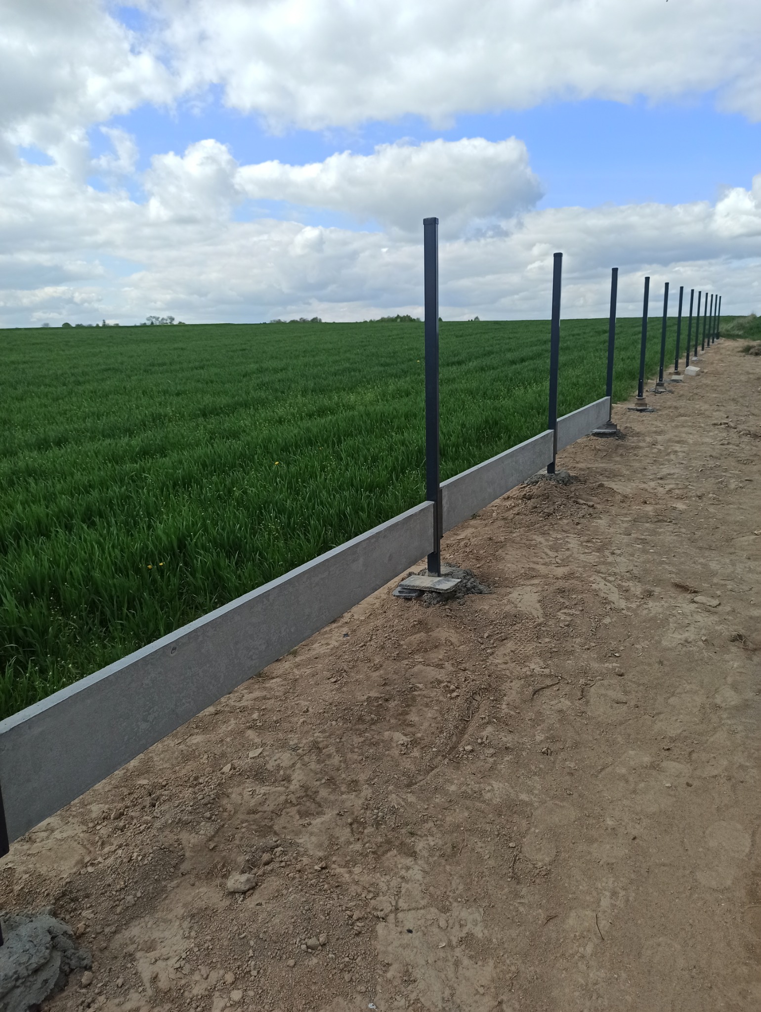 Wznoszenie ogrodzenia panelowego z podmurówką betonową na tle zielonego pola i błękitnego nieba z chmurami. Widoczne słupki i płyty podmurówki w trakcie montażu.