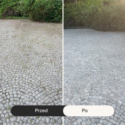 Zadbana Posesja - Doskonałe Mycie Elewacji Budynków w Poznaniu