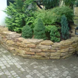 Kamienna rabata z różnorodnymi iglakami i krzewami ozdobnymi, obok ścieżka z kostki brukowej.