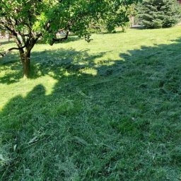 Pielęgnacja ogrodów Baranów 2