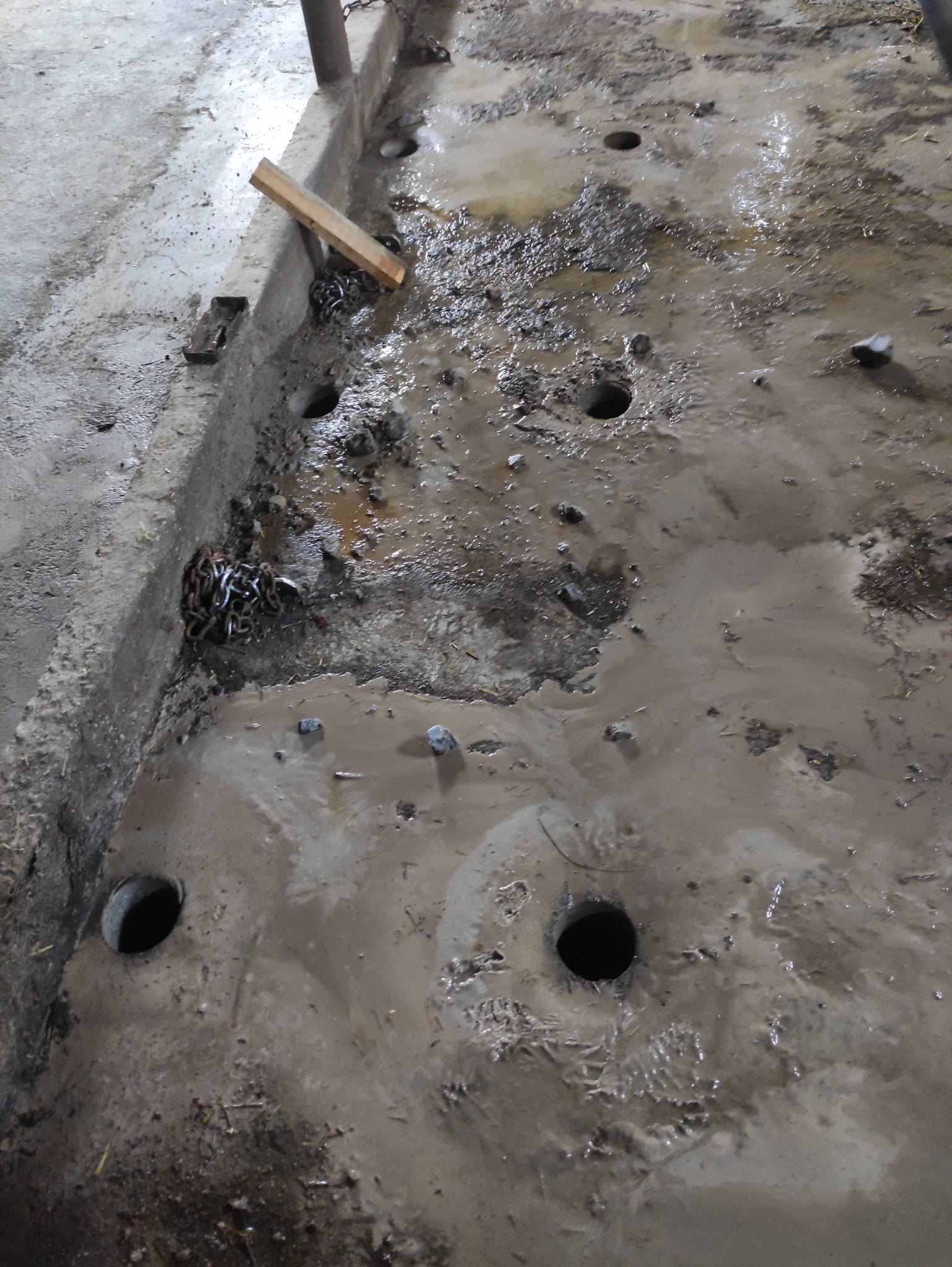Wykopane otwory w gruncie, wypełnione wodą i błotem, z łańcuchem i deską w pobliżu krawędzi. Widoczne ślady pracy ziemnej i mokra powierzchnia.