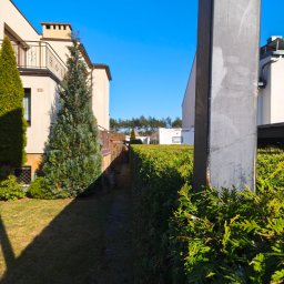 Brukarstwo i Ogrodnictwo Paweł Skarwecki - Zadbany ogród z równo przyciętym żywopłotem i strzyżonymi drzewami iglastymi przed domem z balkonem w słoneczny dzień. Widoczny fragment słupa oświetleniowego.