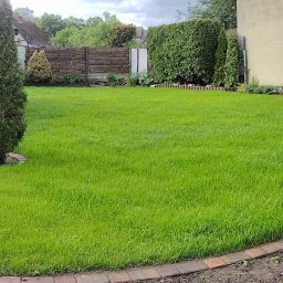 Układanie kostki brukowej Piła 1