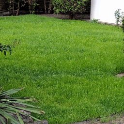 Układanie kostki brukowej Piła 3