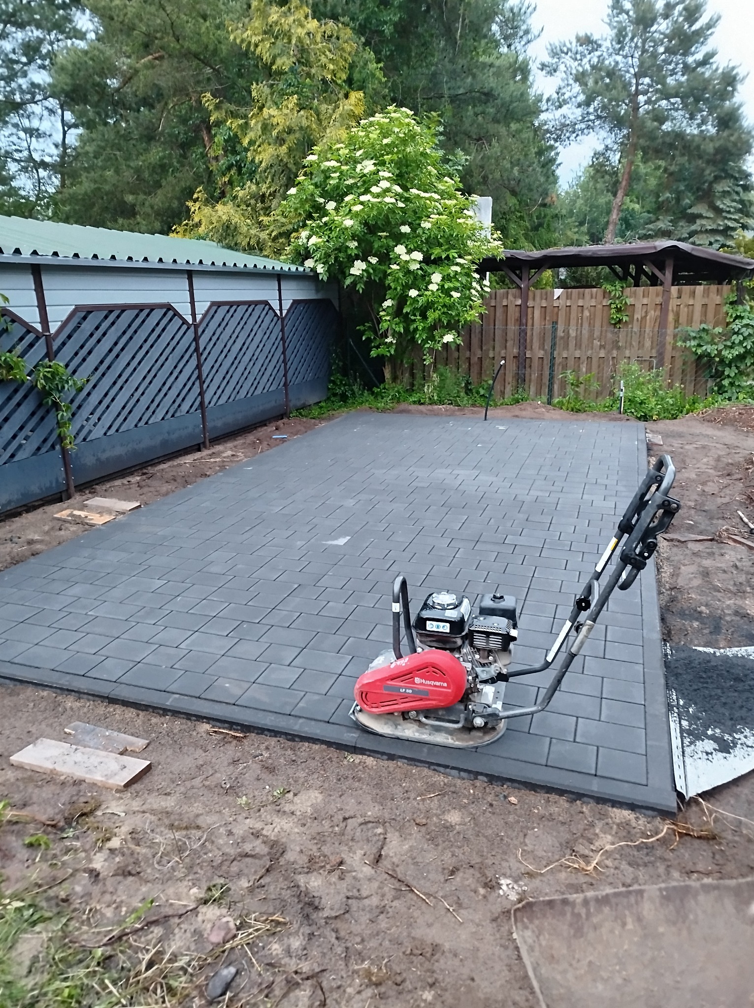 Szara kostka brukowa ułożona na podwórku, ubijana zagęszczarką Husqvarna. W tle zielona roślinność i drewniana altana. Widoczne ślady pracy ziemnych.