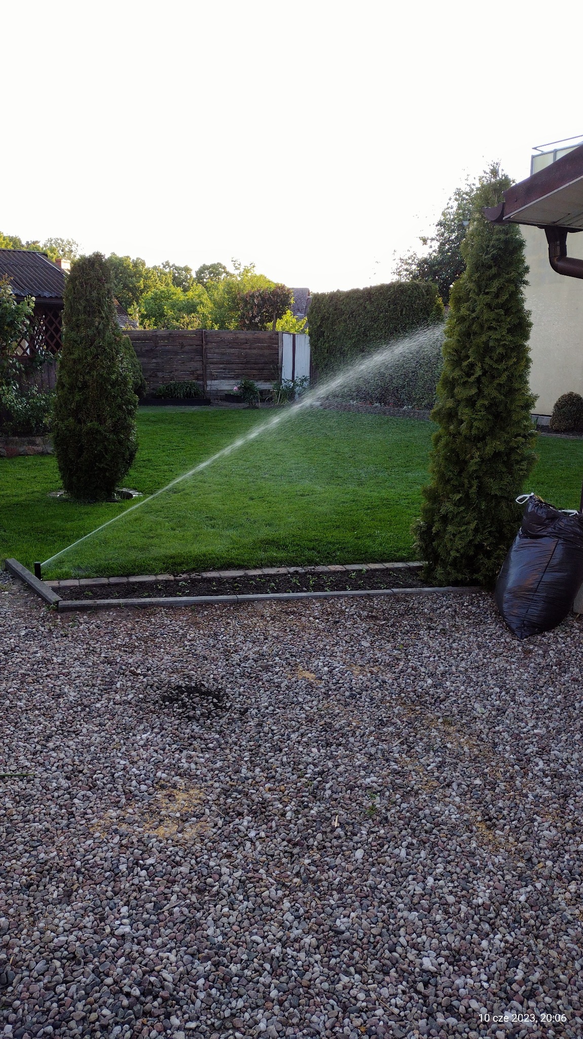 Automatyczne nawadnianie trawnika w ogrodzie z dwoma tujami. W tle widoczny drewniany płot i budynek. Na pierwszym planie kamienny podjazd.