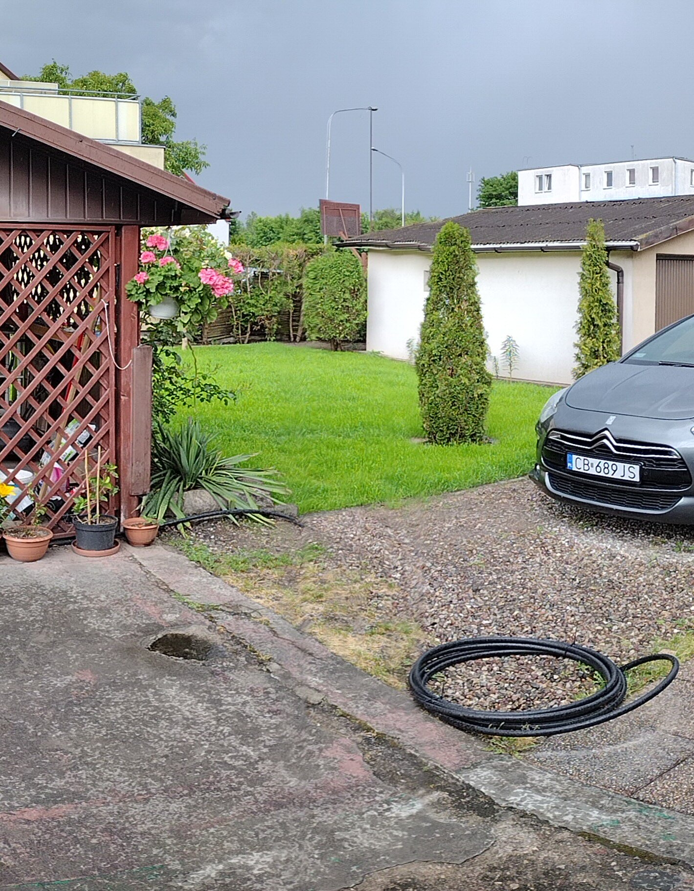 Zadbany ogród z równo przystrzyżonym trawnikiem, tujami i kwitnącymi kwiatami przy altanie. Na pierwszym planie zwinięty wąż ogrodowy i fragment betonowego podjazdu.