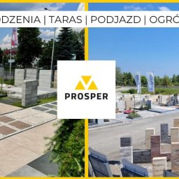 Ogrody wystawowe
Stalowa Wola, Energetyków 14B
Trześń, Gorzycka 99 obok Sandomierza