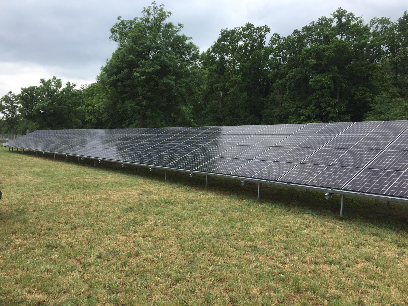 Rozległa instalacja fotowoltaiczna na trawiastym terenie, z rzędami paneli słonecznych na metalowych wspornikach, na tle gęstego, zielonego lasu pod pochmurnym niebem.