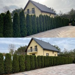 FILTOP Filip Bałdyga - Dwa ujęcia domu jednorodzinnego z zewnątrz, otoczonego równo przyciętymi tujami tworzącymi żywopłot, z kostką brukową ułożoną na podjeździe.