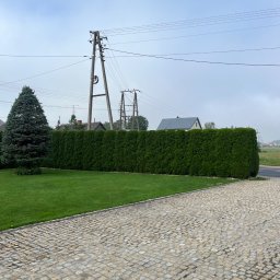 Pielęgnacja ogrodów Łyse 2