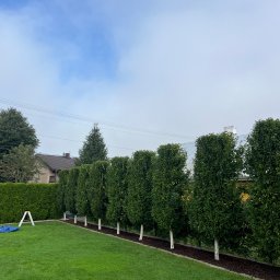 Pielęgnacja ogrodów Łyse 3