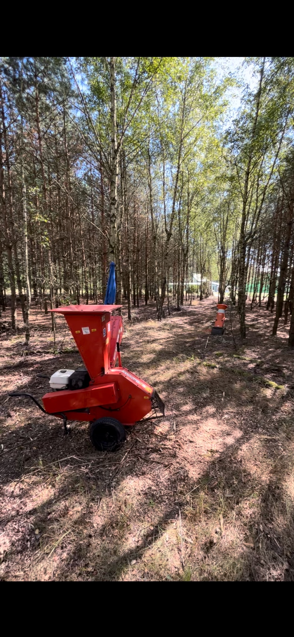 Kompleksowe usługi ogrodnicze powstałe z myślą o miłośnikach zieleni