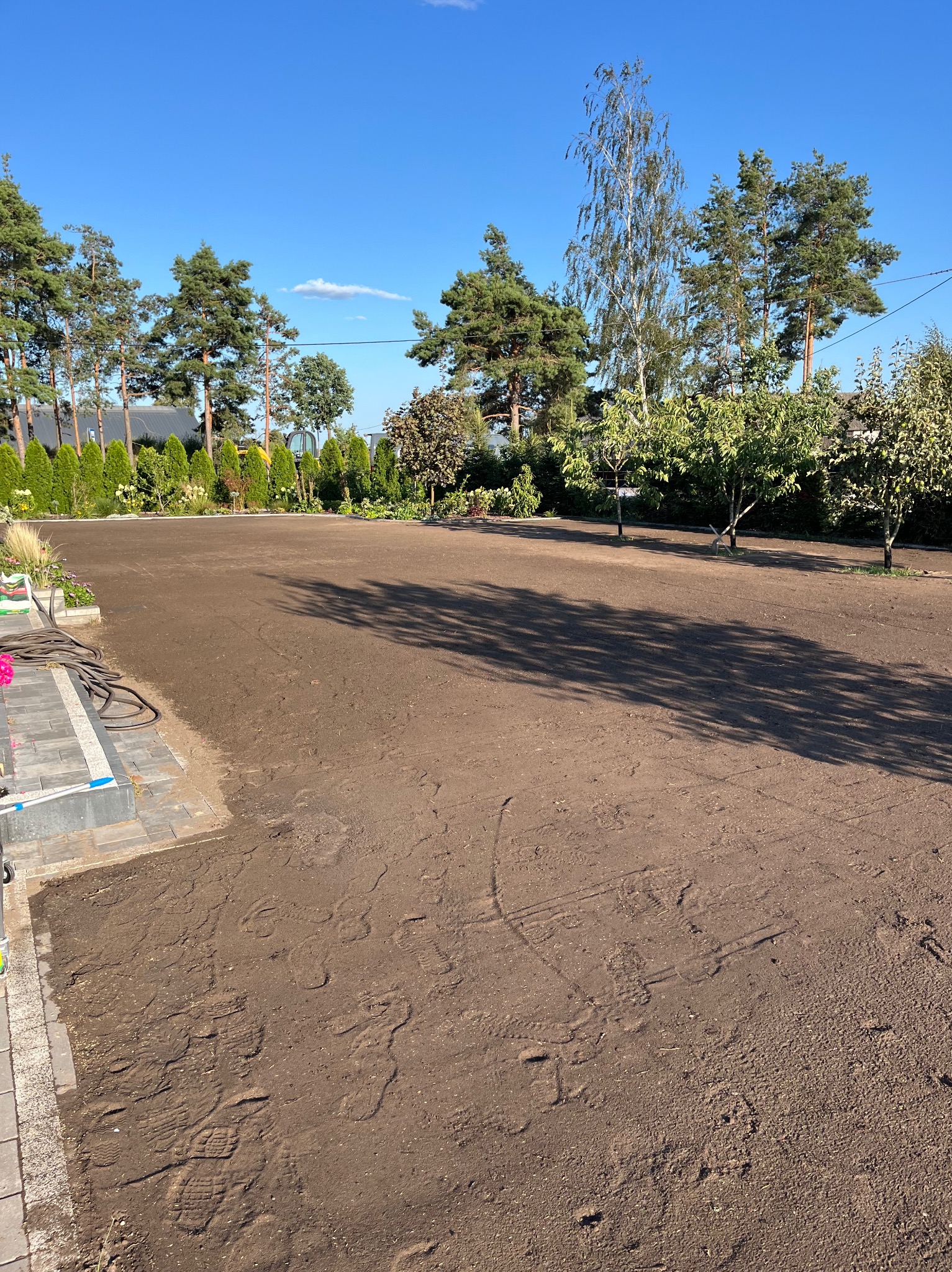 Przygotowany teren pod trawnik z widocznymi śladami stóp, obrzeżem z kostki brukowej i drzewami w tle, w słoneczny dzień.