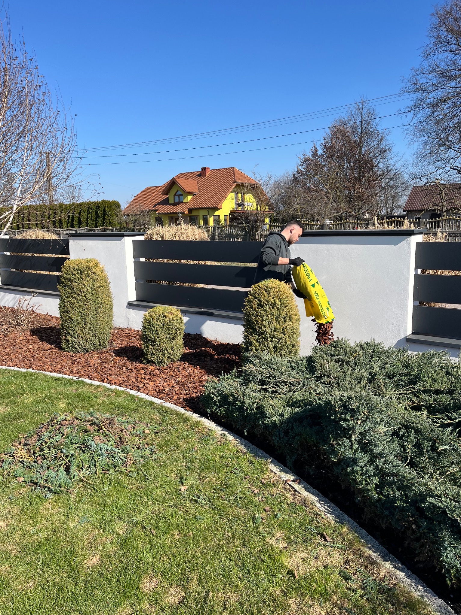 Mężczyzna w czarnych rękawicach rozsypuje korę z żółtego worka na rabatę z krzewami i korą, widoczny trawnik, ogrodzenie i dom w tle.