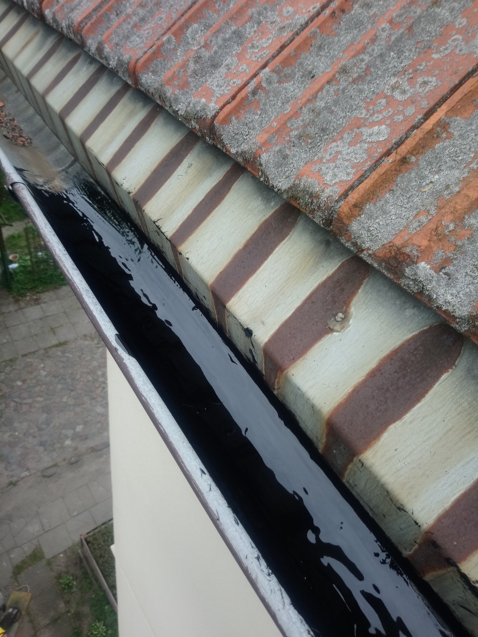 Rynna dachowa wypełniona stojącą, ciemną wodą i liśćmi, przylegająca do dachu pokrytego starymi, brudnymi dachówkami.