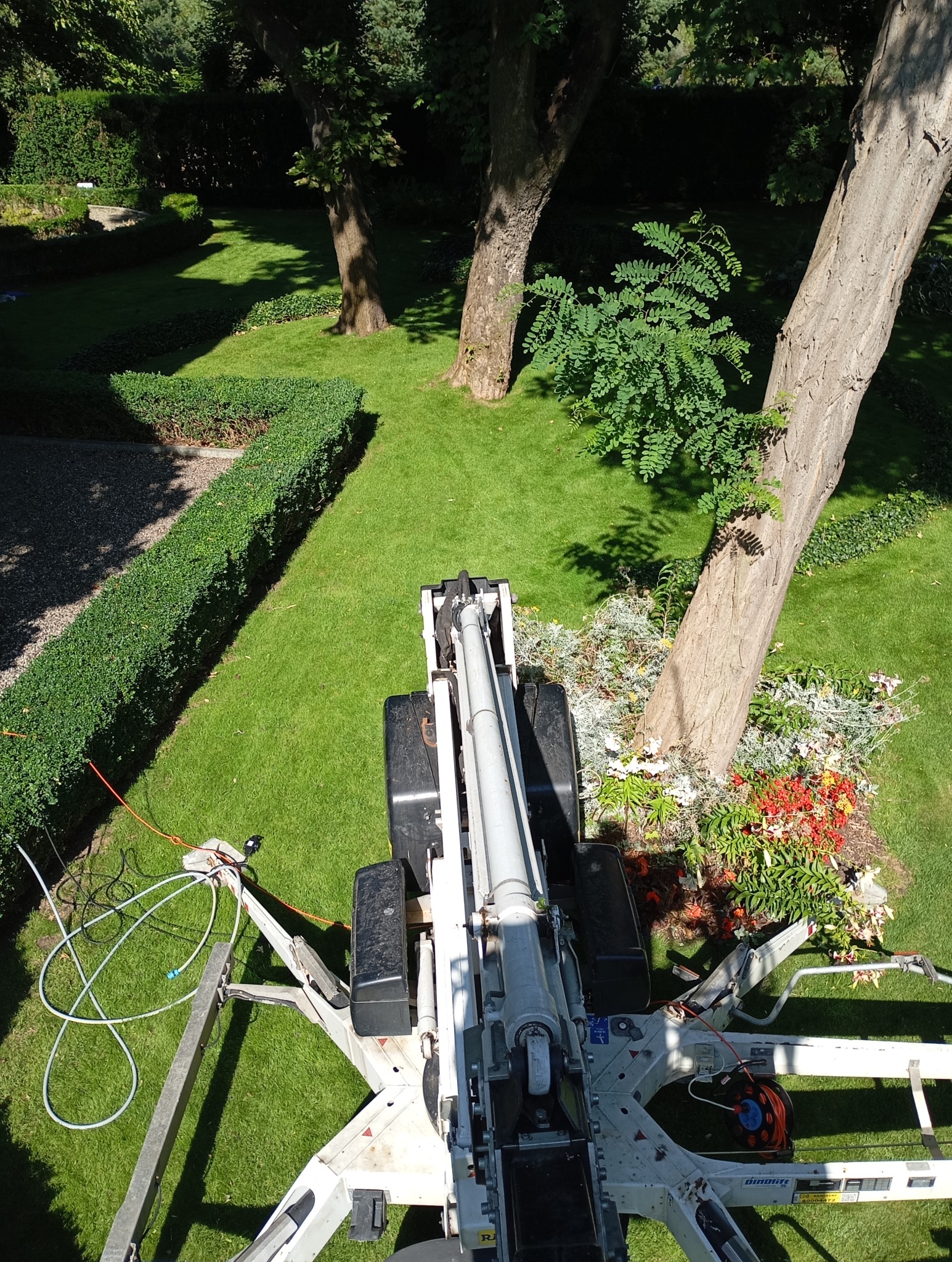 Widok z góry na podnośnik koszowy ustawiony na trawniku w ogrodzie, obok drzewa i rabaty kwiatowej.