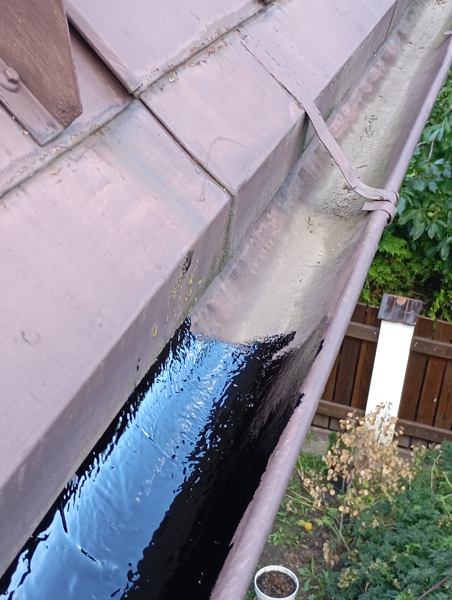 Miedziana rynna dachowa wypełniona stojącą, ciemną wodą po deszczu, z widocznymi śladami zabrudzeń i mchu, na tle zieleni ogrodu i drewnianego płotu.