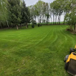 Równomiernie skoszony trawnik z widocznymi śladami po kosiarce, otoczony drzewami liściastymi i iglastymi, z fragmentem żółtej kosiarki widocznym w prawym dolnym rogu.
