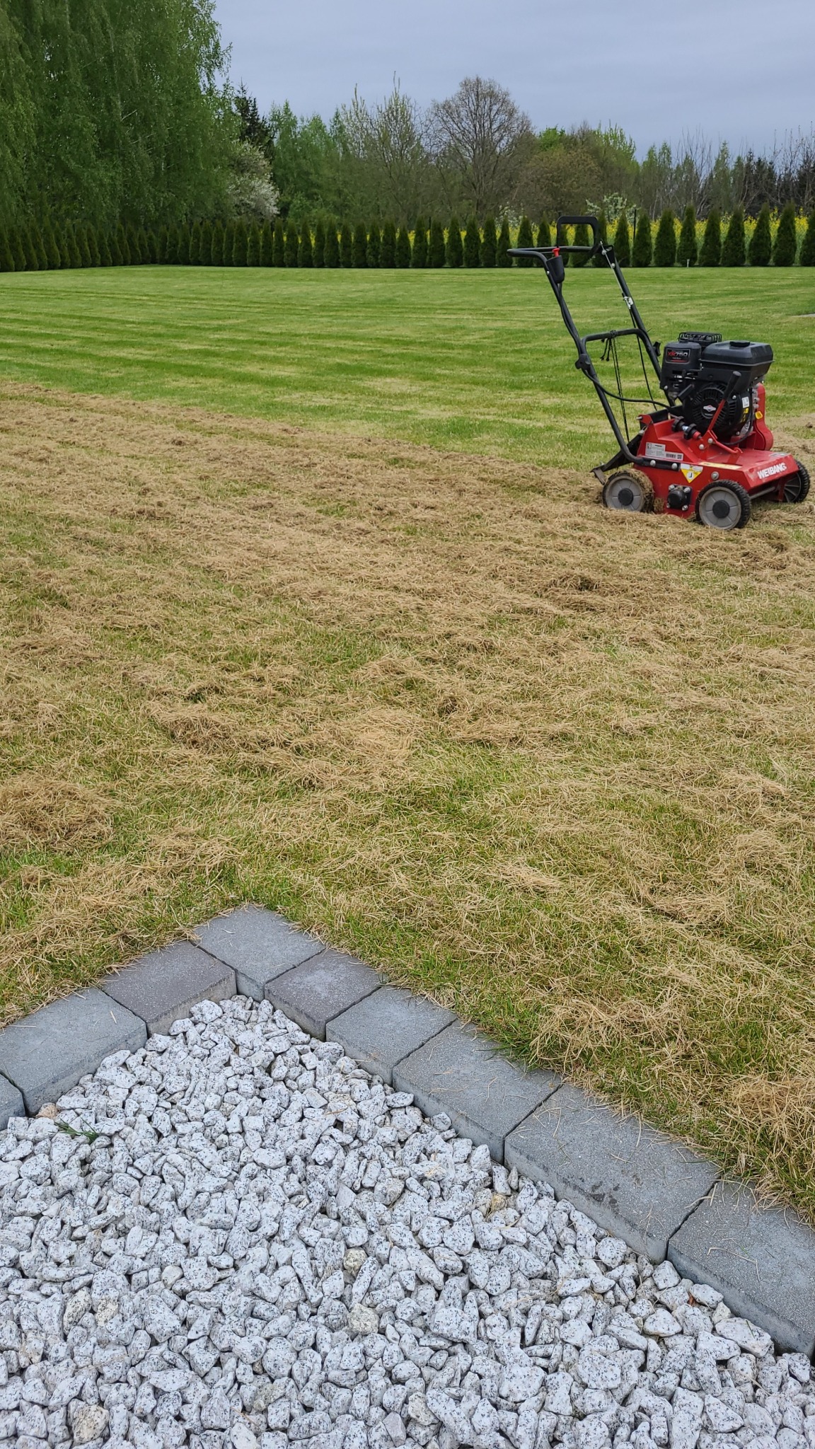 Wertykulacja trawnika