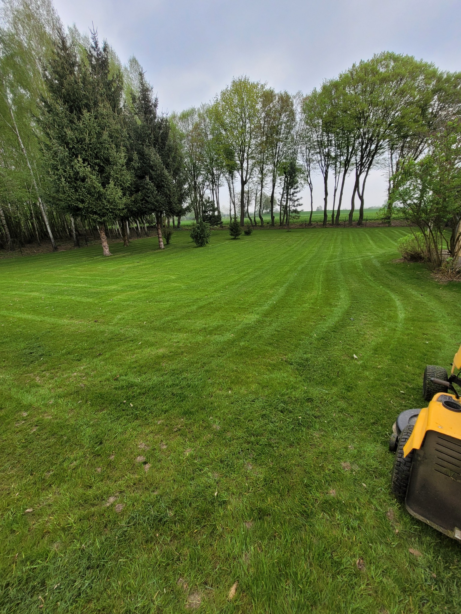 Równomiernie skoszony trawnik z widocznymi śladami po kosiarce, otoczony drzewami liściastymi i iglastymi, z fragmentem żółtej kosiarki widocznym w prawym dolnym rogu.