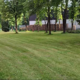 Koszenie z wywożeniem trawy