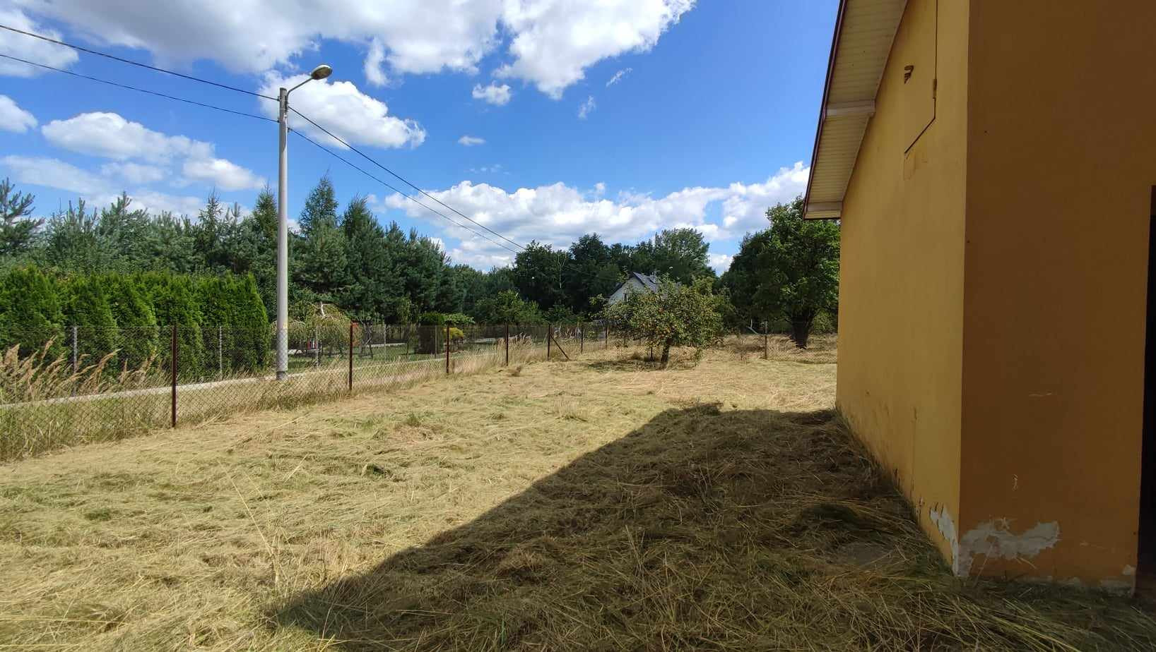 Koszenie z pozostawieniem trawy na miejscu