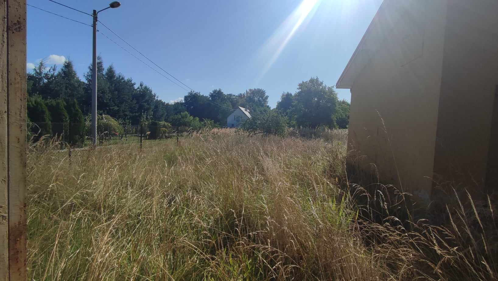 Zarośnięta działka z wysoką trawą, widoczny fragment budynku z prawej strony i dom w oddali pod błękitnym niebem.