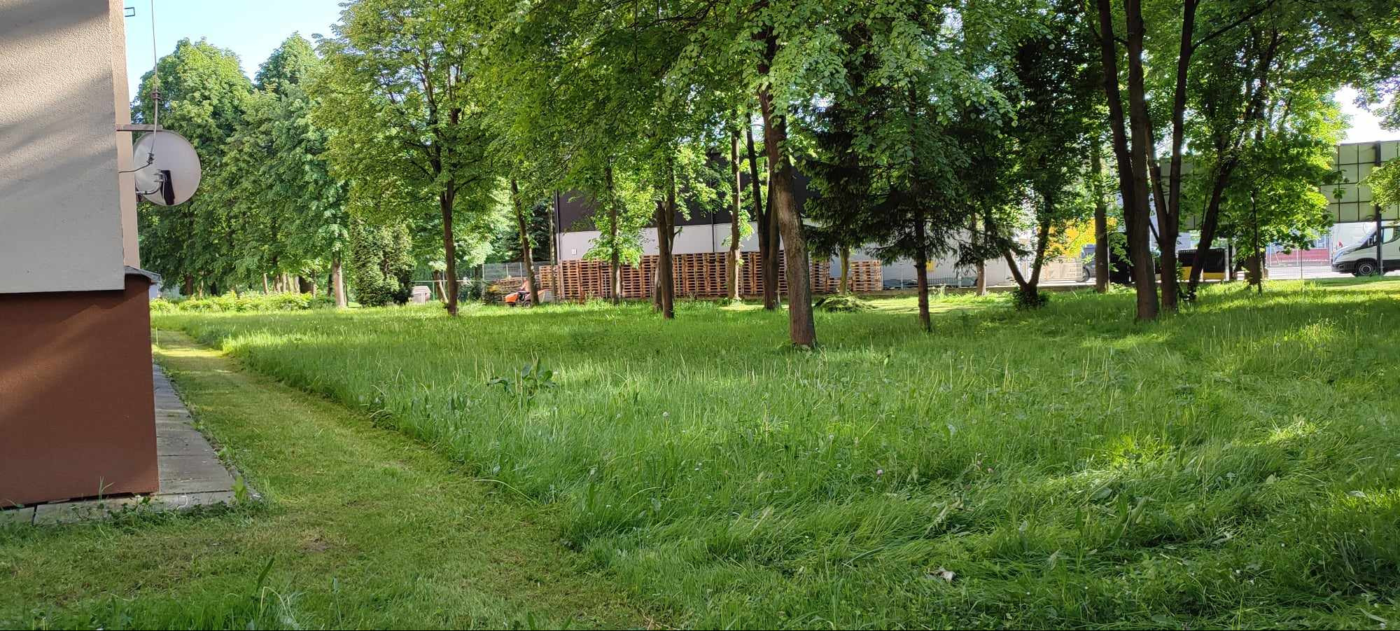 Trawa częściowo skoszona przy budynku, w tle widoczna kosiarka samojezdna i palety.