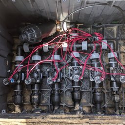 Trawa z rolki Olmonty 4