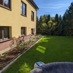 Widok na zadbany trawnik przydomowy z systemem nawadniania, obrzeża z kostki, rabata z korą i roślinami pod ścianą domu o ż&oacute;łtej elewacji, w tle wysokie tuje.