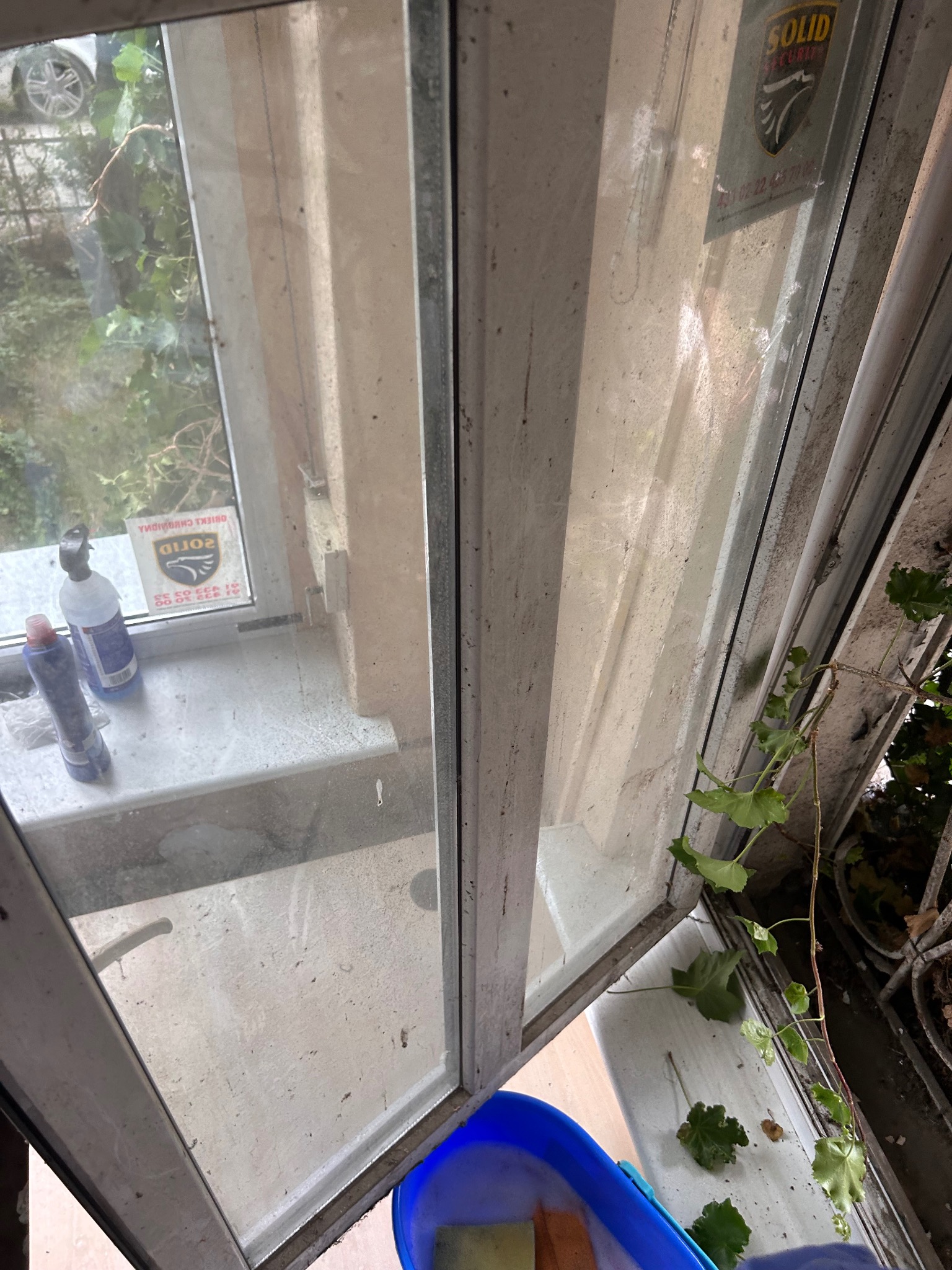 Zabrudzone okno z widocznym brudem na szybie i ramie, stojące obok środki czyszczące i niebieskie wiadro z gąbką, sugerujące trwający proces czyszczenia.