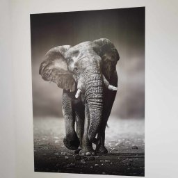 Malowanie elewacji Wrocław 2