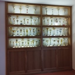 Usługi Stolarskie Paweł Jabłoński - Duża, drewniana witryna z oświetleniem, wypełniona kolekcją pucharów i trofeów w różnych rozmiarach i kształtach.
