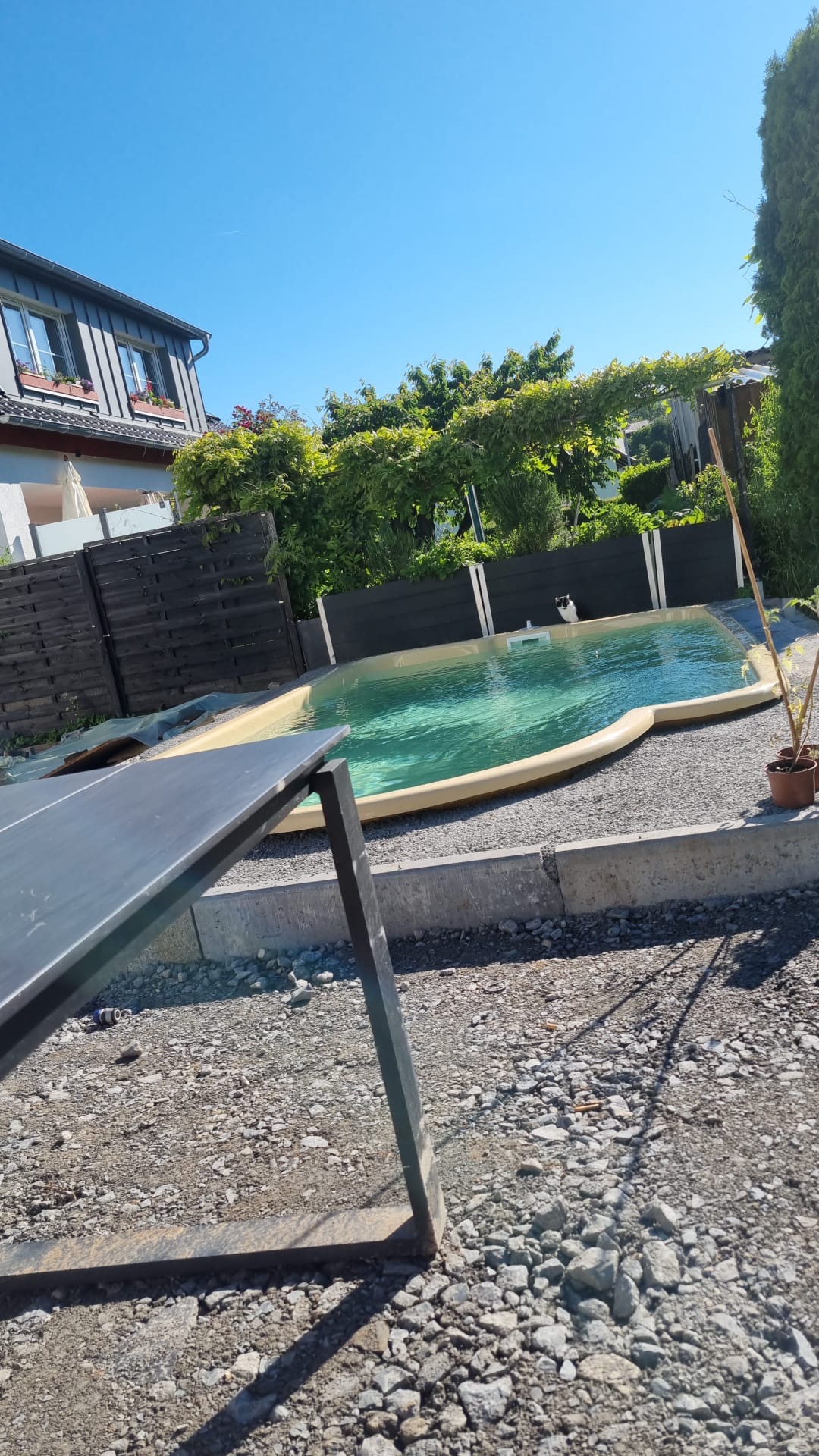 Niebieski basen ogrodowy z żółtą obwódką, otoczony szarym żwirem i betonowym obrzeżem, widok z perspektywy ziemi, w tle czarny drewniany płot i zielona roślinność.